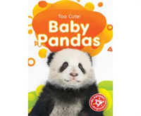 Baby_Pandas